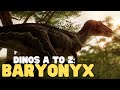Baryionx Quiz