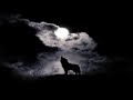 The Howling Void - The Wolf And The Eclipse