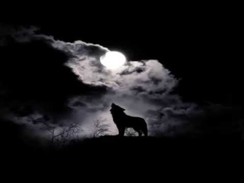 The Howling Void - The Wolf and the Eclipse zdarma vyzvánění ke stažení