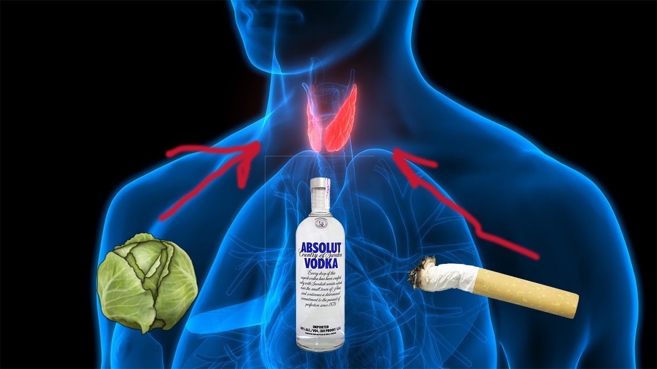 Спасаем щитовидную железу уже сейчас! Факторы негативно влияющие на ...