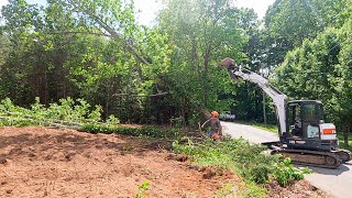 Dropping Trees and Pushing Dirt on one acre lot with IDigit4