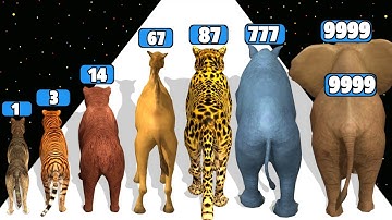 Animal Merge And Hunt - Level Up Animal Max Level Gameplay (Cat Evolution Run)