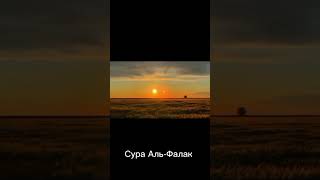 сура АЛЬ-ФАЛАК