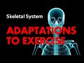 Chronic Adaptations of the Skeletal System Quiz
