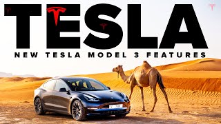 NEW Tesla Model 3 Features LEAKED On The Road | Hardware 4 Is Coming