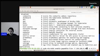 Week 2 - Installation & configuring gopaddle community edition on microk8s