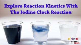 Explore Reaction Kinetics With the Iodine Clock Reaction | Science Project