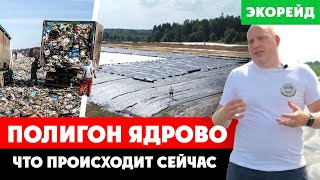 Что Сейчас Происходит Со Свалкой На Полигоне «Ядрово»? Как Проходит Рекультивация. Экорейд