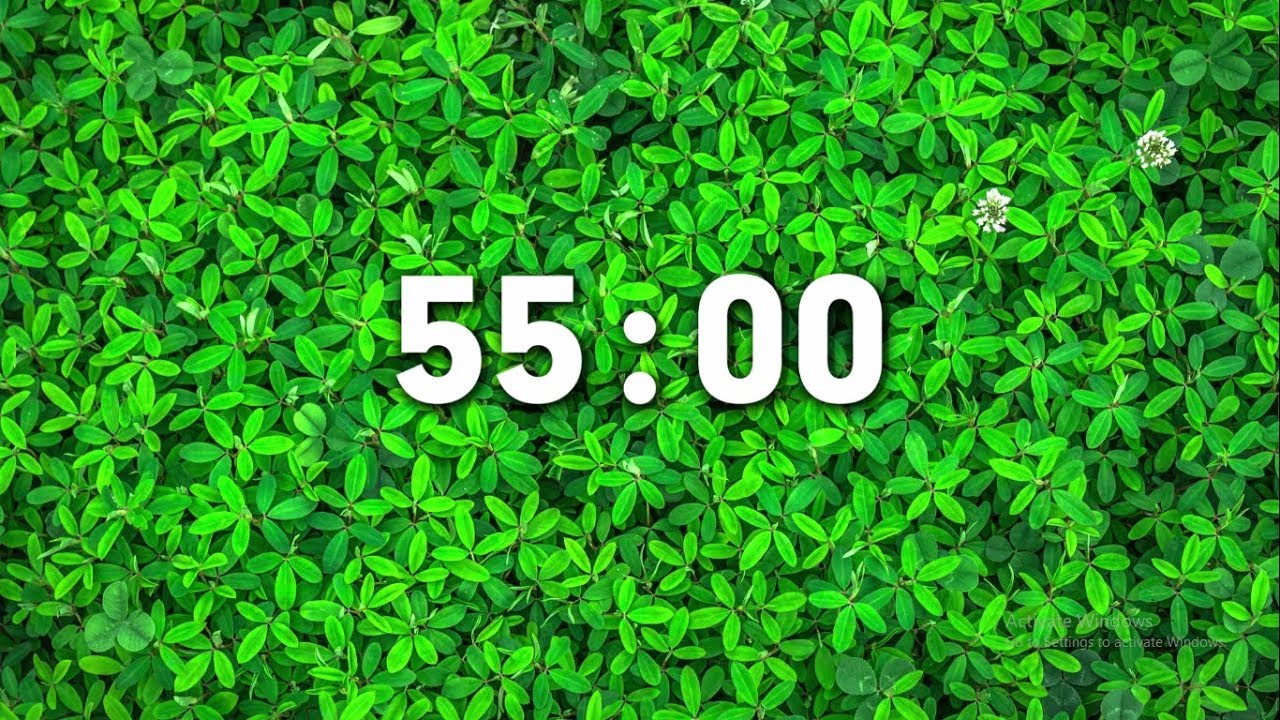 Countdown Timer - 55 Minutes - YouTube