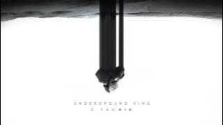 ZTAO - Underground King (Official Audio)