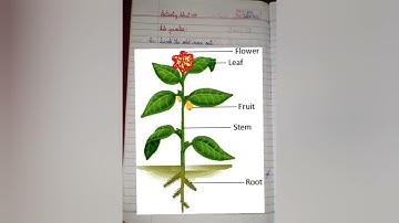 science bridge course 7th standard activity sheet 3 to 6