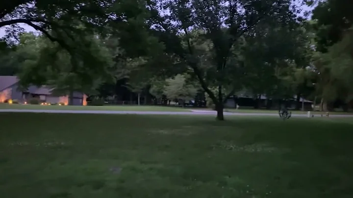 The sounds of summer and fire flies