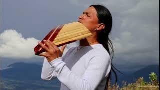 The Sound Of Silence by Wuauquikuna   Panflute   Toyos
