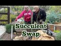 Succulent Swap