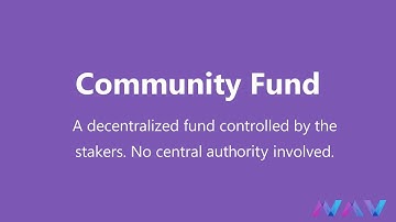 Vote for the NAV Coin Community Fund (Explanation & How to)