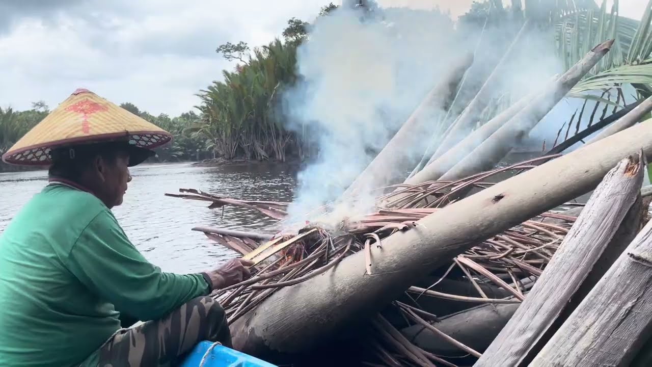 Hasil Menjala Kita Bakar/Tunu Udang Fresh Passin Dengan Daun Nipah Sedaap Mantap