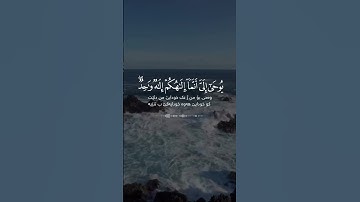 سعد الغامدي سورة الكهف Saad Al Ghamidi Surah Al Kahf
