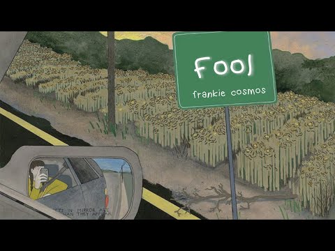 Frankie Cosmos Fool Lyrics