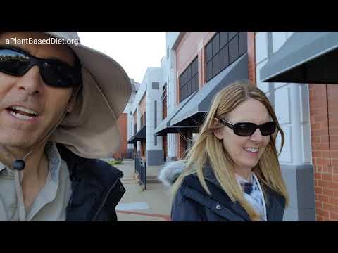 Reston Herndon Vegan Friends MEETUP True Food Kitchen