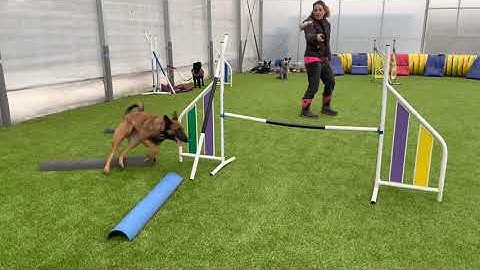 Willa and Diliys GRID work (out)