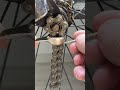 No Extra Tools Needed! Genius Chain Trick 🔥