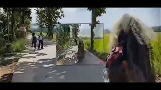 Bochil Ngep-Ngep No Shanks