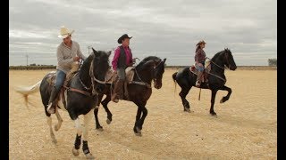 Alejandra Rojas-Ricardo Robledo (Cabalgata)