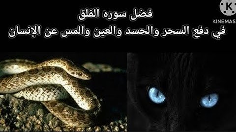 فضل سوره الفلق لأبطال السحر وإبطال العين والحسد والمس الخبيث الساحر