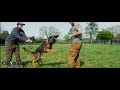 Global k9 protection services