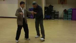 8-Energy 5 Steps 13 Postures, Part 2,  八門五步 十三勢