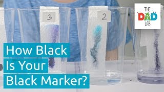 Explore Black Markers with Chromatography | Kids Science