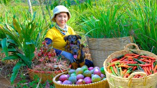 Full Video: Harvesting Lemongrass, Horn Peppers Goes To Market Sell - Daily Life, Farm | Tieu Lien