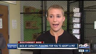 IACS makes desperate plea for adopters