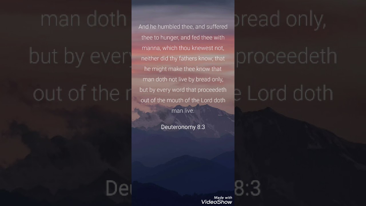 but by every word that proceedeth