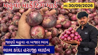 લાલ સફેદ કાંદા હરાજી લાઇવ મહુવા યાર્ડ 🔥|| APMC MAHUVA || જાણો બજાર ભાવ || ૩૦/૦૯/૨૦૨૬ || screenshot 1