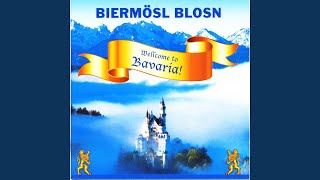 Video thumbnail of "Biermösl Blosn - Das Wasser ghört zum Waschen"