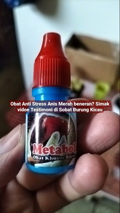 Obat Anti Strees Anis Merah Macet Bunyi