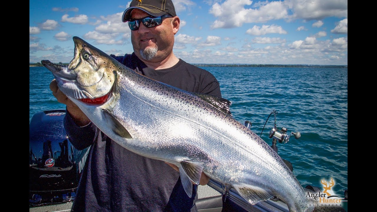 2018 Season | Lake Ontario Tyee search