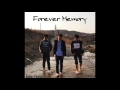 Genius Panzee - Forever Memory