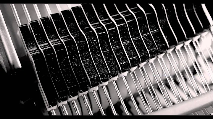 Ruth Wilhelmine Meyer & Helge Lien - Nora (Video C...