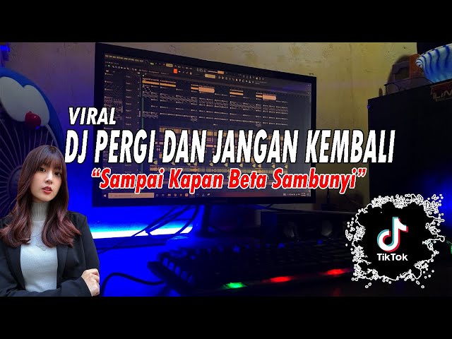 DJ PERGI DAN JANGAN KEMBALI - MO SAMPE KAPAN BETA SAMBUNYI REMIX FULL BASS 2022 class=