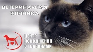 Круглосуточная ветеринарная клиника на Гагарина в Харькове Круглосуточная ветеринарная клиника на Гагарина в Харькове