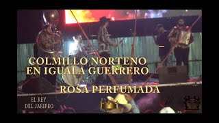 ROSA PERFUMADA-COLMILLO NORTENIO EN VIVO EN IGUALA GUERRERO