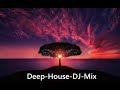 Deep housemix  melodical beats by mohrflow w nora en pure stil  bense joris voorn 52023