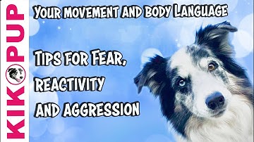 Tips for dog trainers working with fear reactivity and aggression