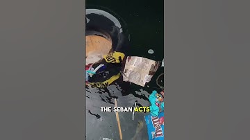 Seabin: The Floating Trash Collector Cleaning Our Oceans✨ #innovation