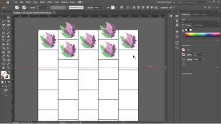 Adobe Software for Half Drop Textile Repeat Pattern