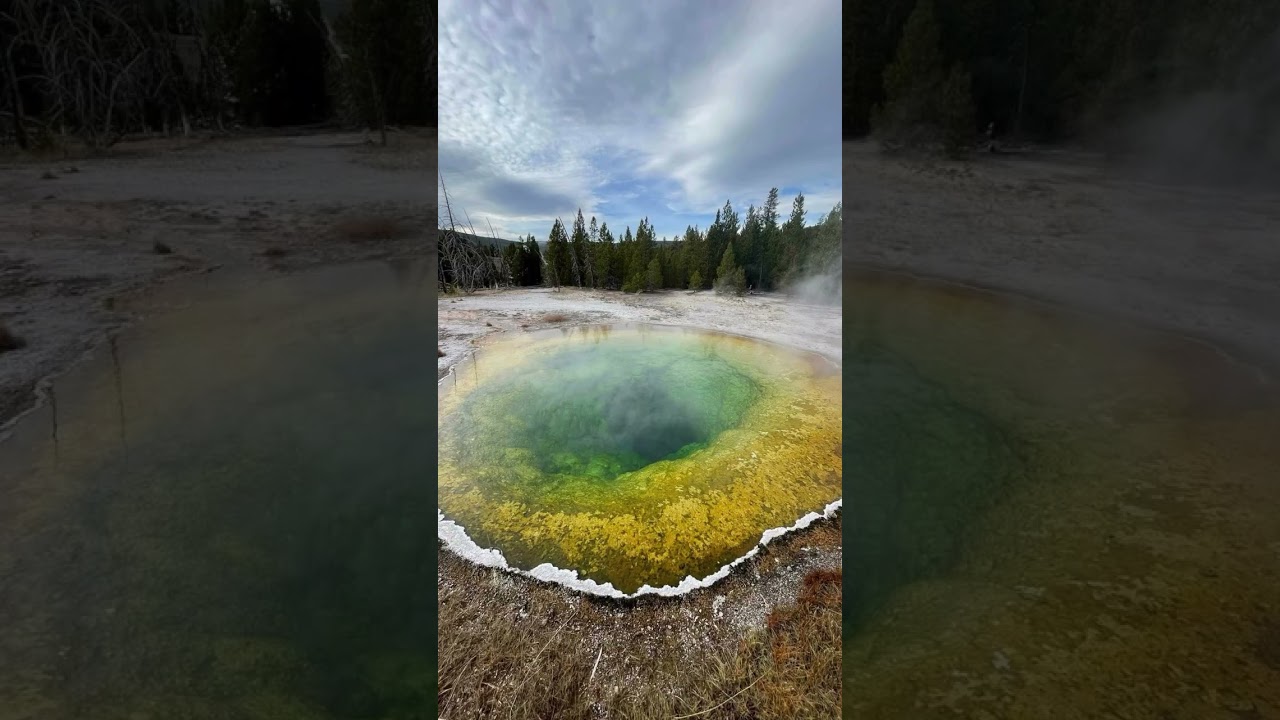 The breathtaking Lower Falls in the Grand Canyon of Yellowstone is a must-see wonder, plunging 308