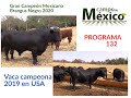 P132 Sangre de campeones en Brangus y Hereford