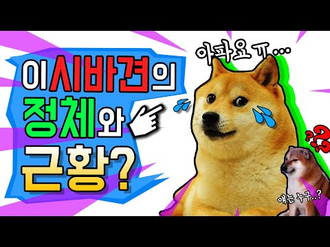   이 시바견의 정체와 슬픈 근황 시바견 밈 시바견 짤 Doge